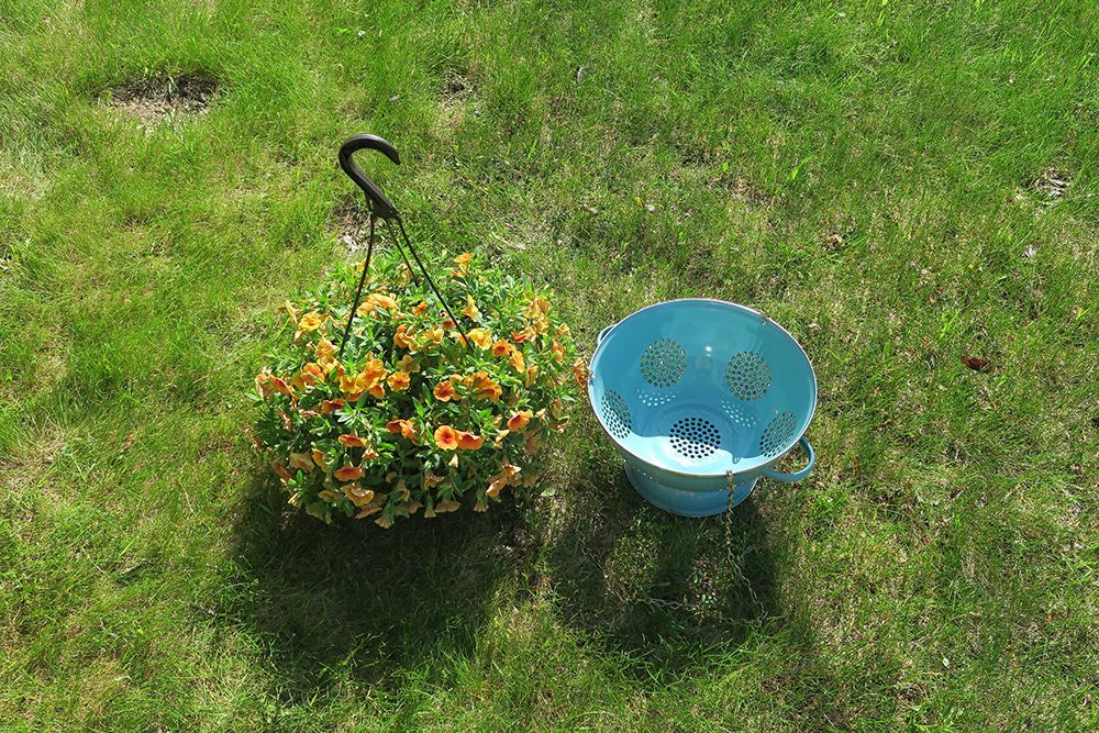 Container gardening just got more fun! With just a few supplies, you can turn a simple kitchen utensil into a unique DIY Hanging Colander Planter.