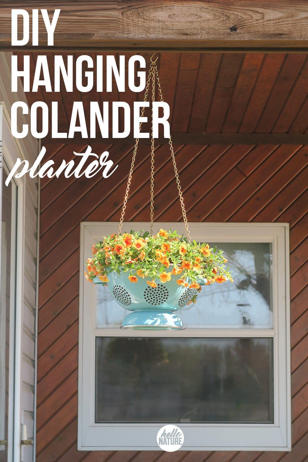 Blue colander hanging planter.