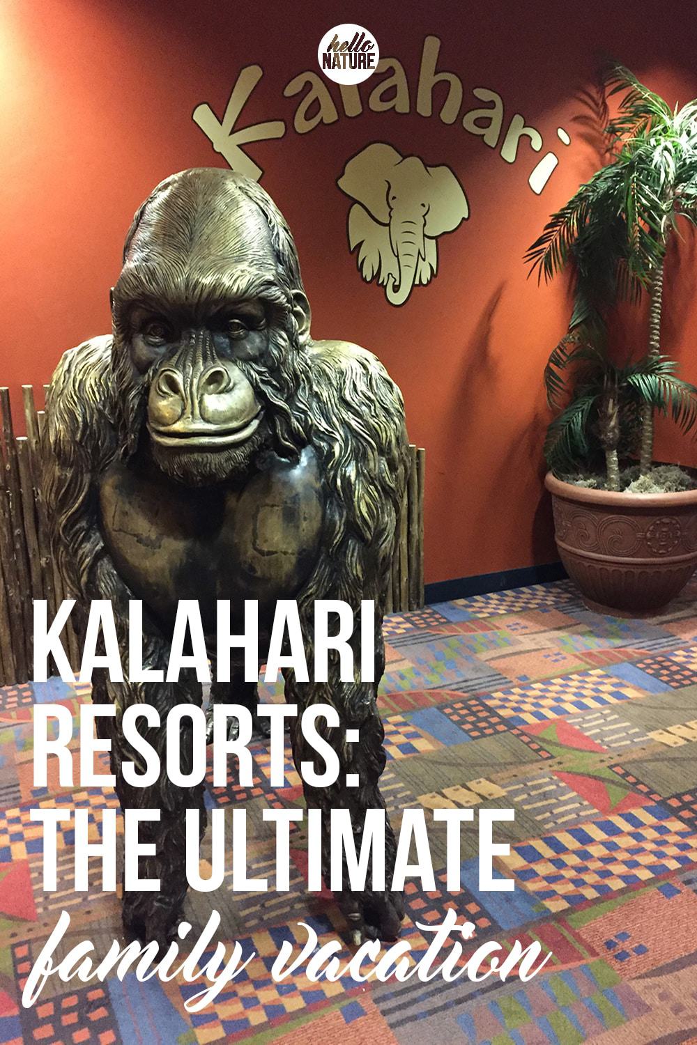 Not sure where to go for your next family trip? Kalahari Resorts are the ultimate family vacation! They've got something for everyone!