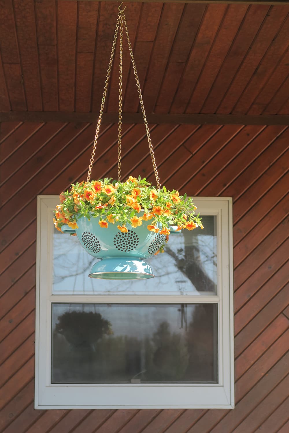 Container gardening just got more fun! With just a few supplies, you can turn a simple kitchen utensil into a unique DIY Hanging Colander Planter.