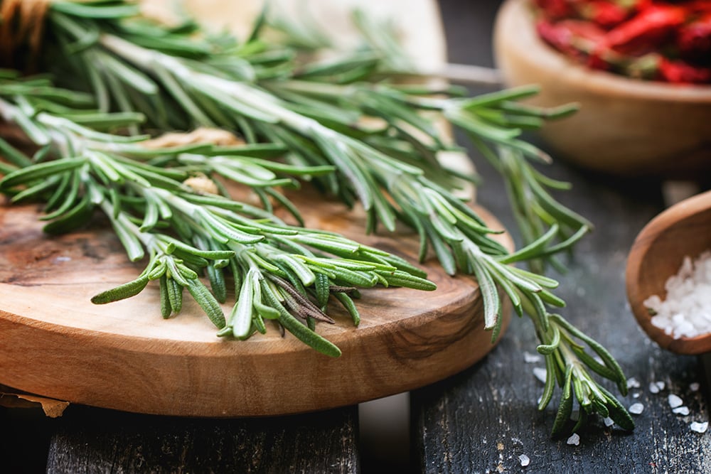 Freezing fresh herbs is one of the best ways to preserve fresh herbs! Learn how to preserve fresh herbs by freezing them in this simple guide.