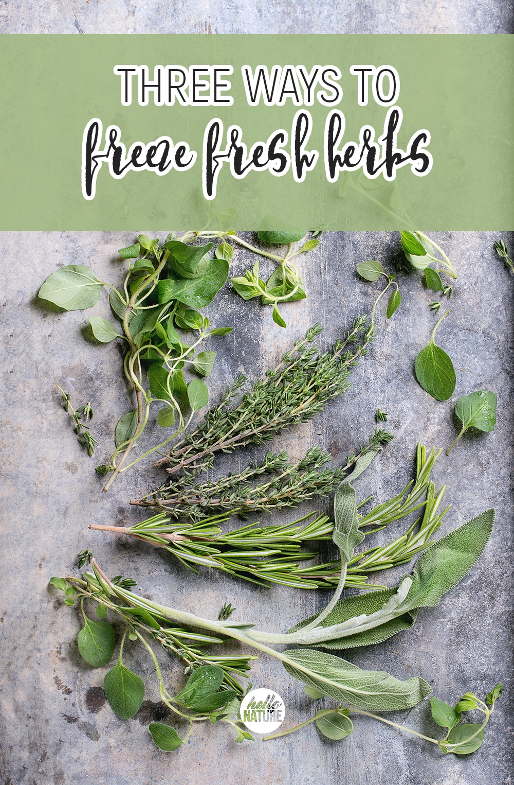 Freezing fresh herbs is one of the best ways to preserve fresh herbs! Learn how to preserve fresh herbs by freezing them in this simple guide.