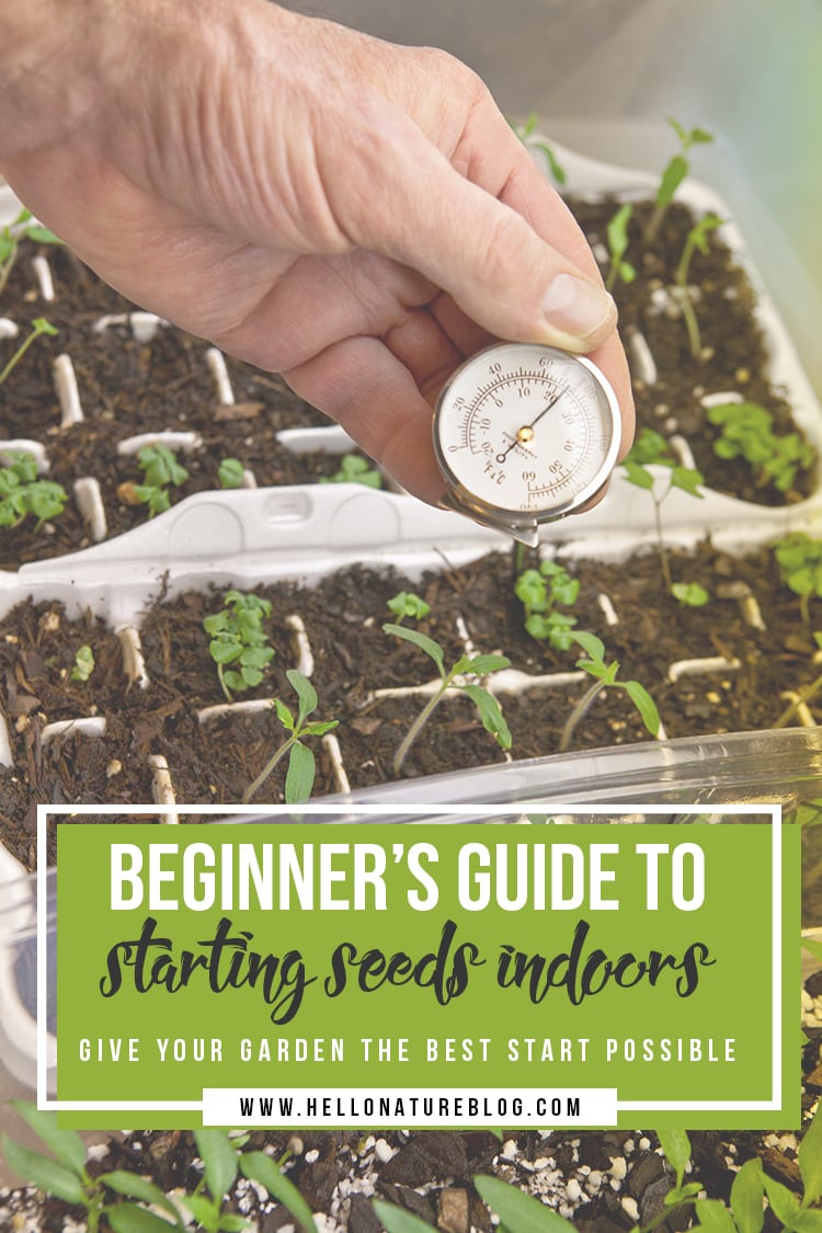Starting seeds indoors with thermometer