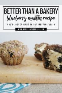 Blueberry Muffin Recipe