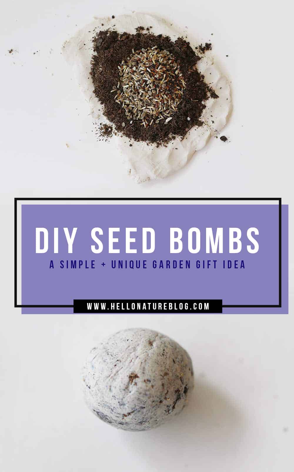 DIY Seed Bombs Recipe: An Easy Garden Hack - Bird's Eye Meeple