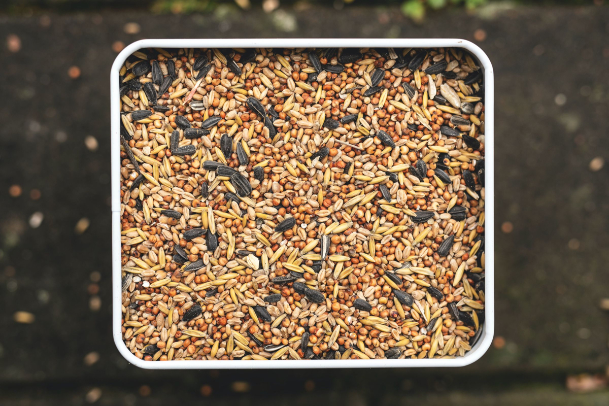 DIY Decorative Bird Seed Storage  Bird seed storage, Seed storage, Bird  seed