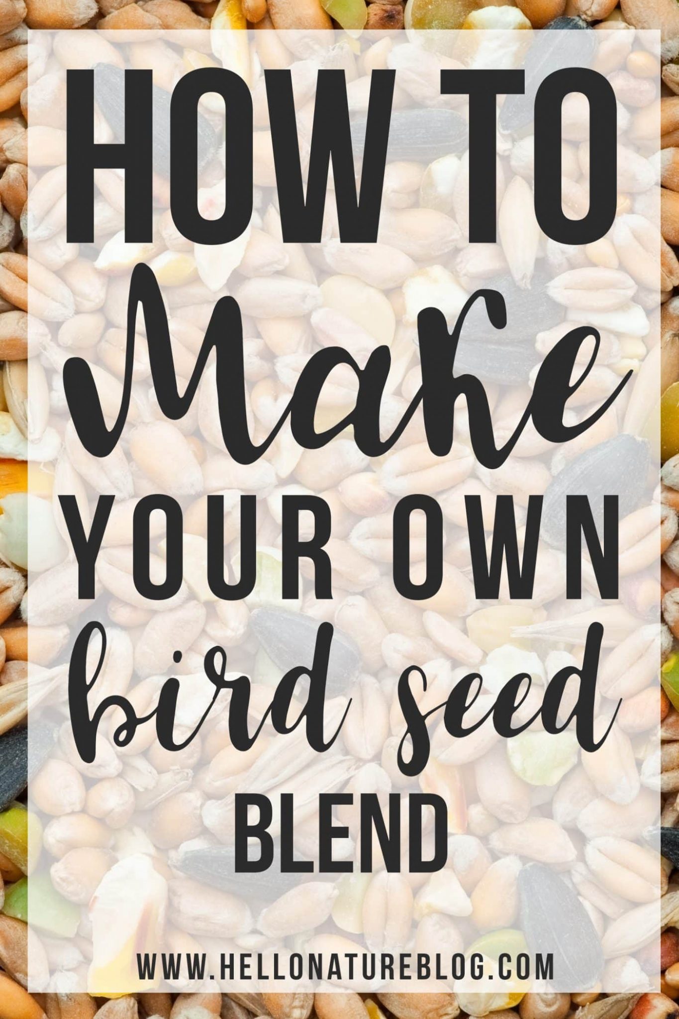 How to Make Homemade Bird Food + Simple Homemade Bird Feeders Bird's