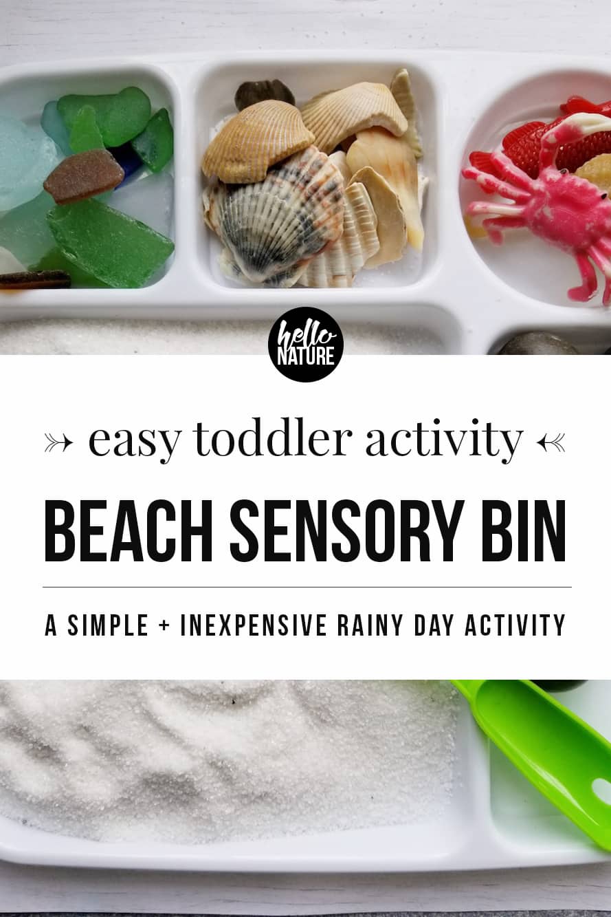 beach sensory bin