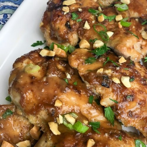 https://birdseyemeeple.com/wp-content/uploads/2018/06/Easy-Thai-Instant-Pot-Chicken-Thighs-500x500.jpg