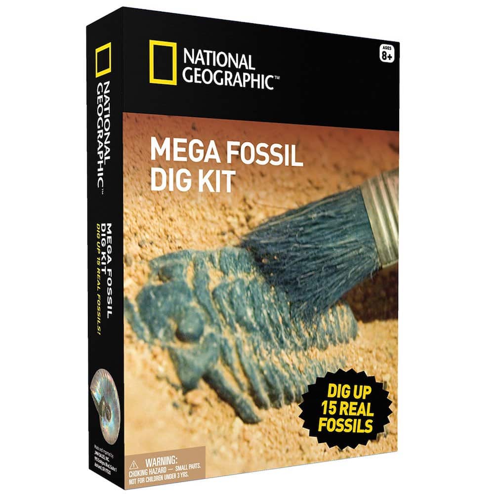 Science Kits for Kids - Mega Fossil Dig Kit