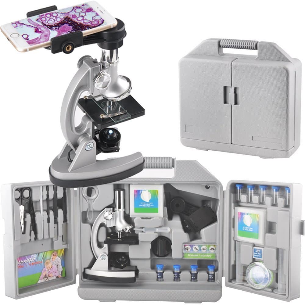 Smartphone Microscope for Kids