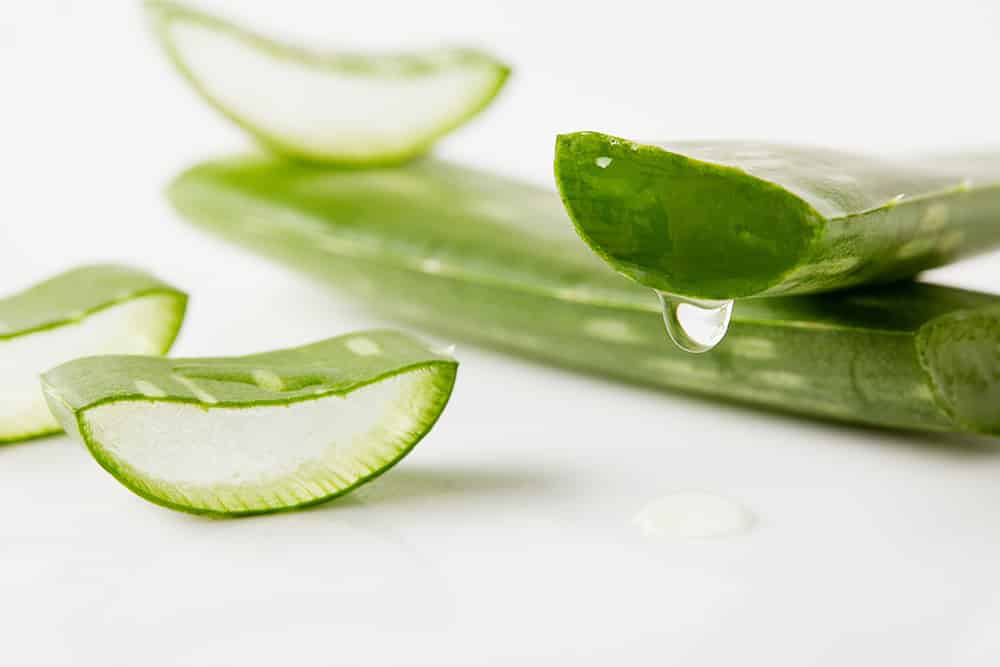 Did you know that there are many aloe vera plant uses for skin that go beyond sunburn relief? Learn how amazing aloe vera for skin care can be with this mini guide on the aloe vera plant uses and benefits.