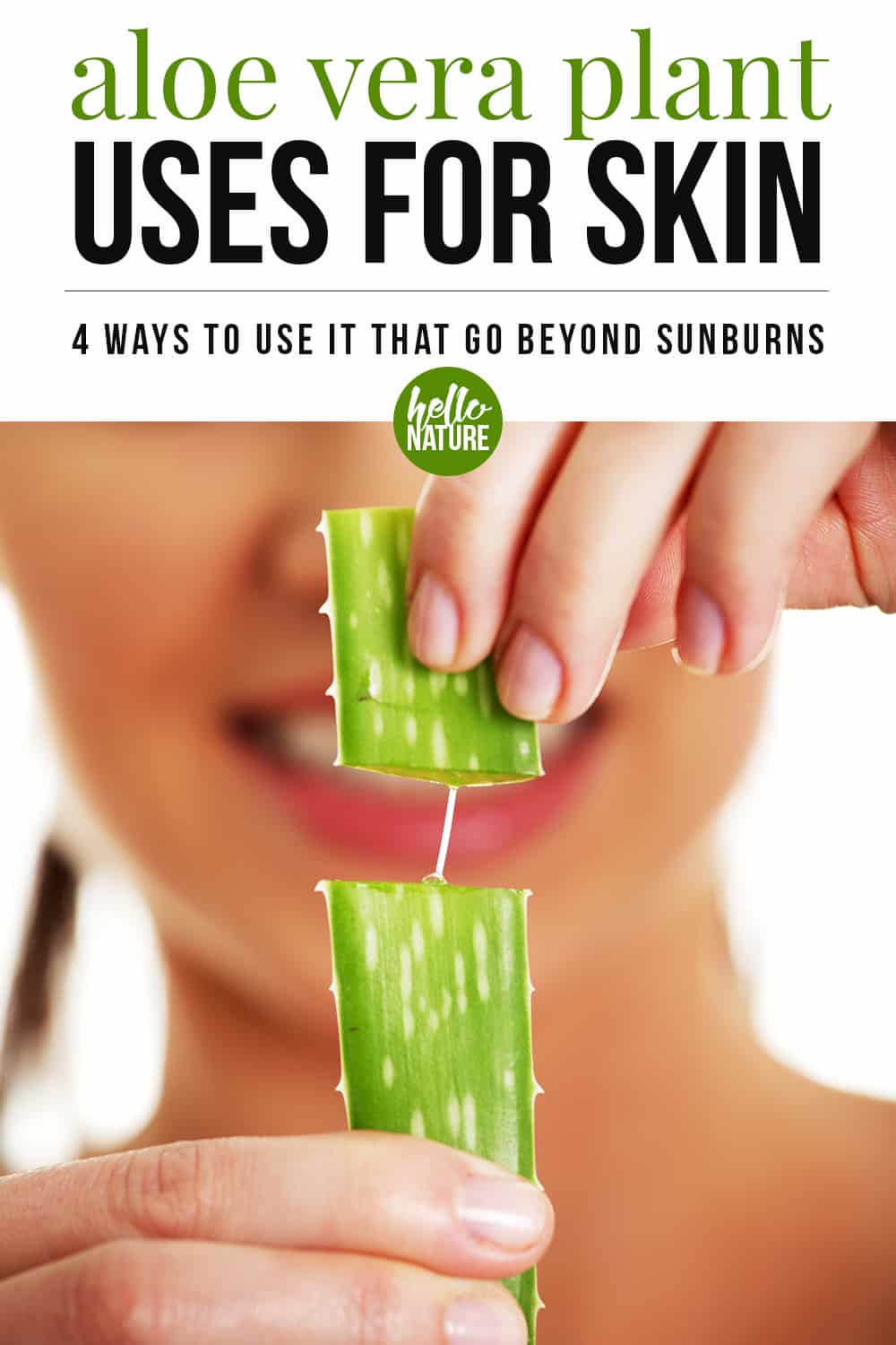 4 Aloe Vera Uses for Skin That Go Beyond Sunburn Relief – Bird's Eye Meeple