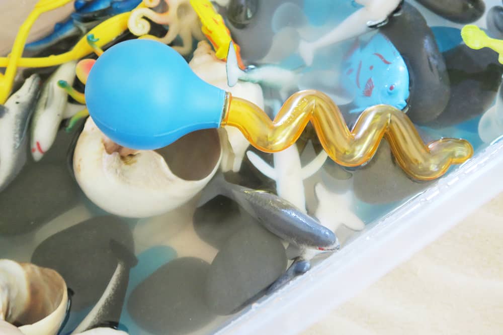 Looking for easy shark week activities for kids? This shark sensory bin is the perfect way to explore the ocean indoors. This simple toddler activity will make a huge splash this summer!