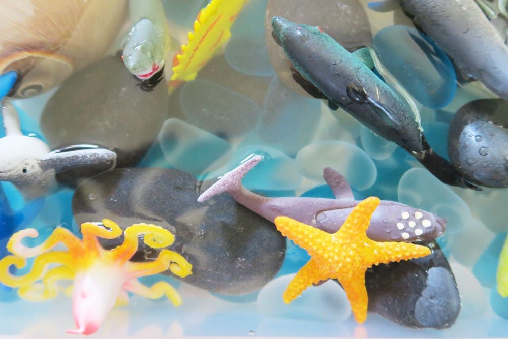 Looking for easy shark week activities for kids? This shark sensory bin is the perfect way to explore the ocean indoors. This simple toddler activity will make a huge splash this summer!