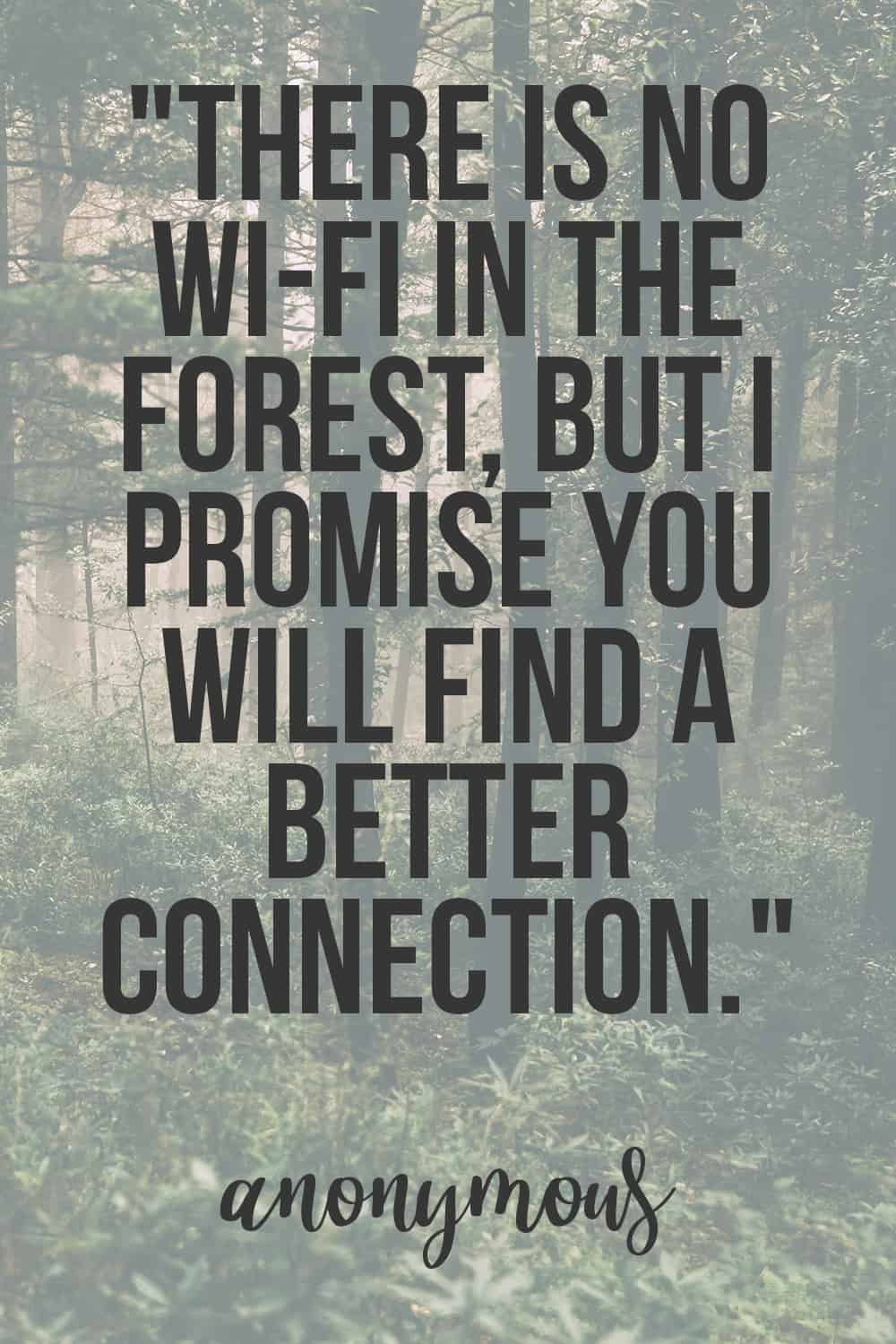 There is no wi-fi in the forest, but I promise you will find a better connection quote.