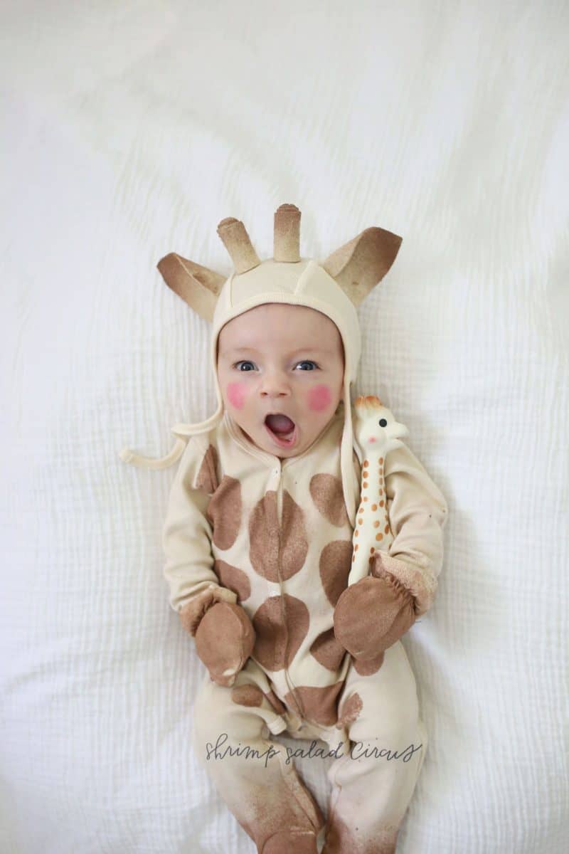 DIY Sophie The Giraffe Halloween Costume