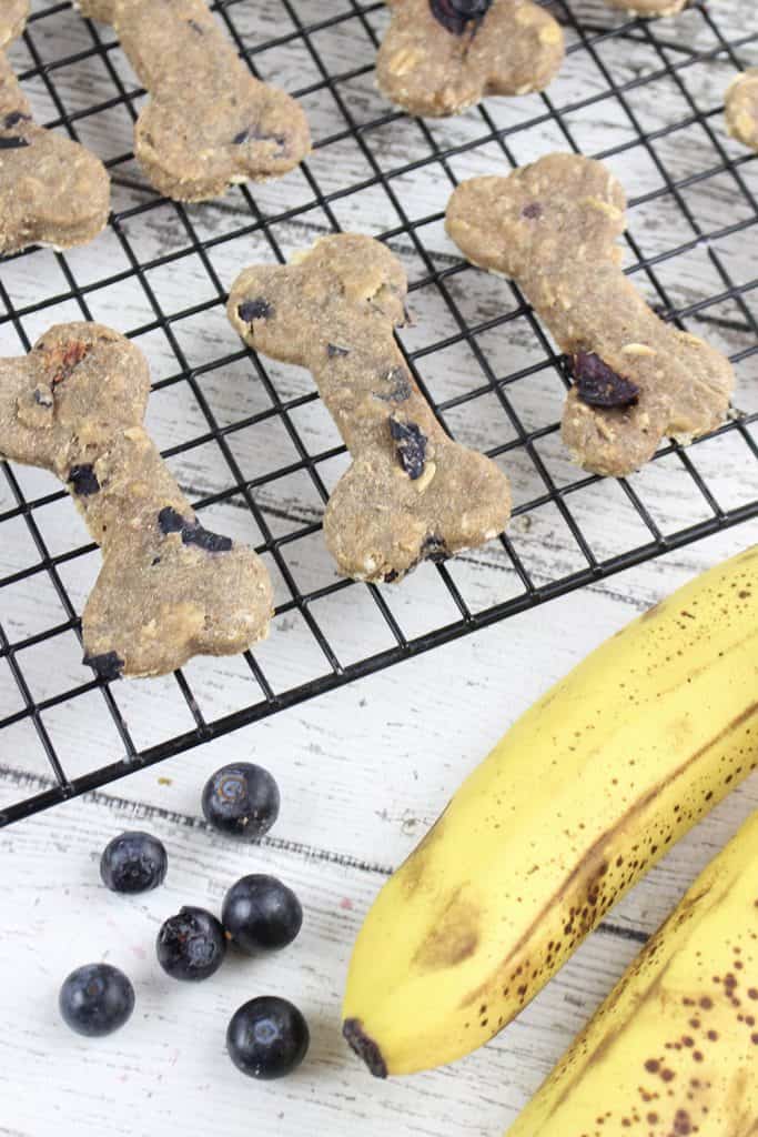 Peanut Butter Banana Dog Treats with Blueberries A Simple Dog Treat