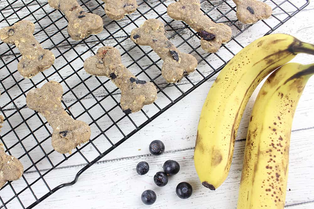 Blueberry banana hotsell dog treat recipe