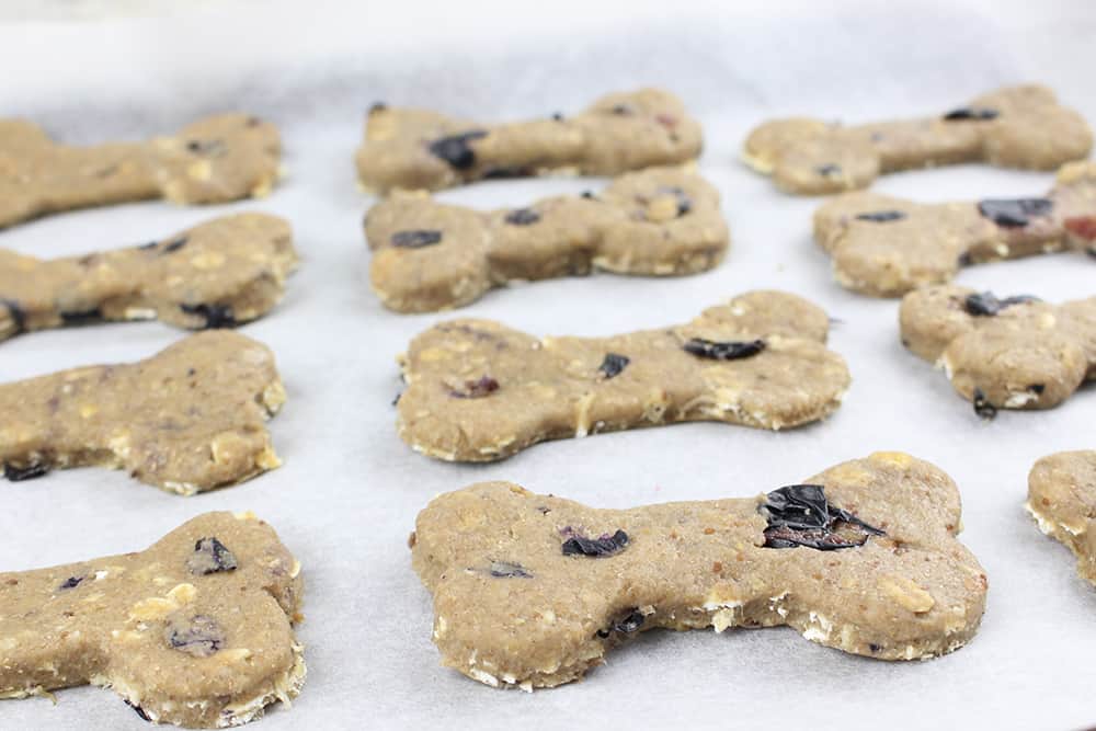 These homemade dog treats with oats are super simple to make and are only six ingredients!