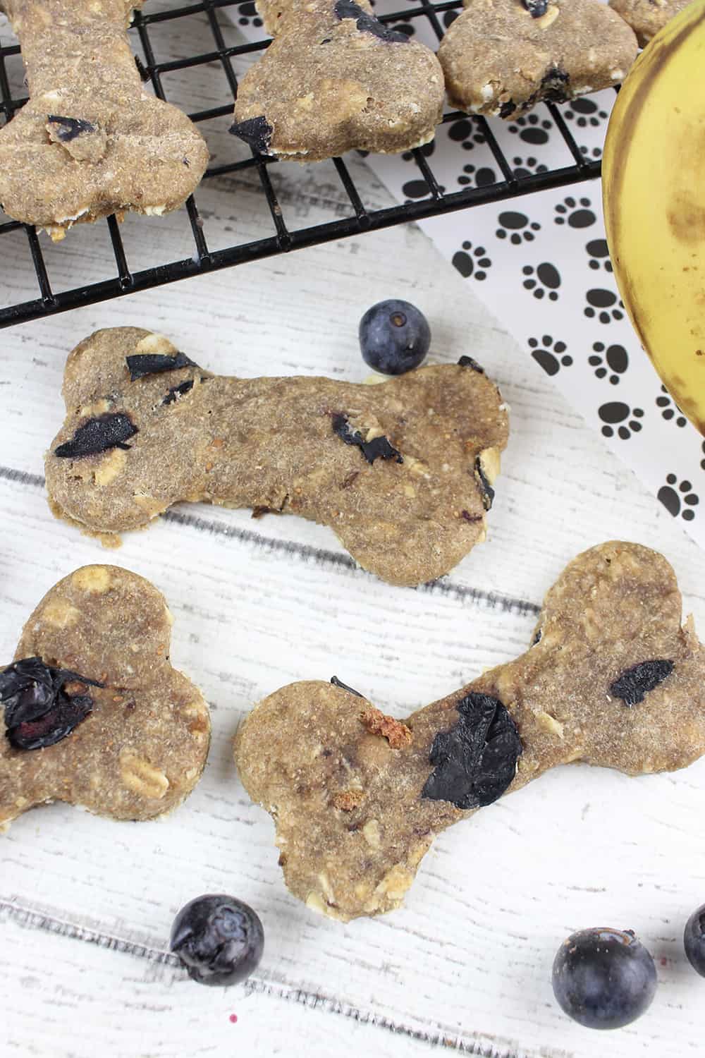 Peanut Butter Banana Dog Treats with Blueberries A Simple Dog