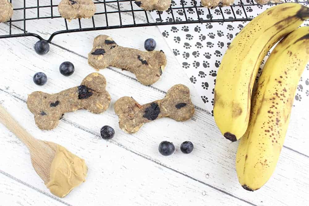 Fruit dog hotsell treats recipes