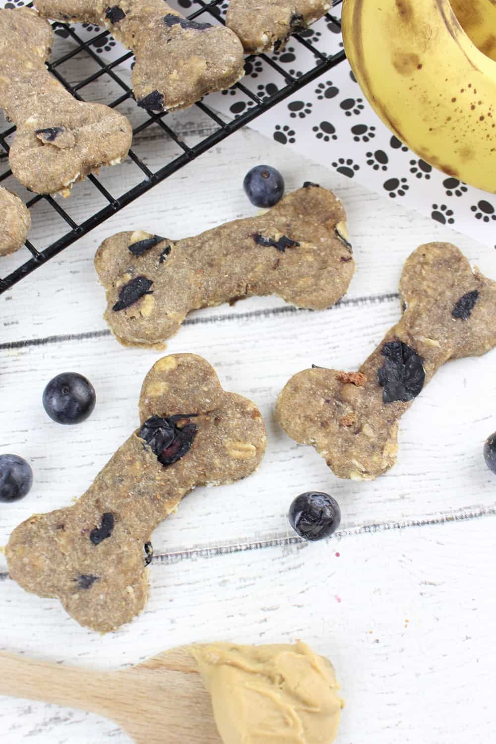 Homemade dog treats can be incredibly easy. See just how easy these peanut butter banana oatmeal dog treats are!