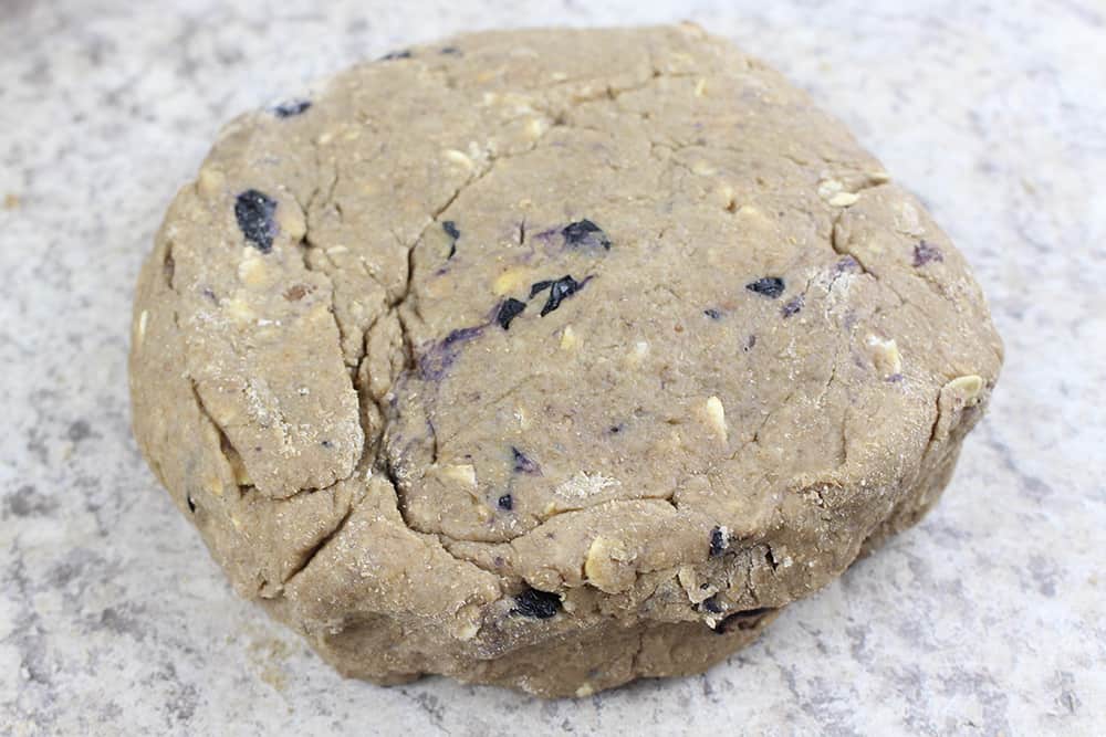These homemade dog treats with blueberries are perfect for your four-legged friend