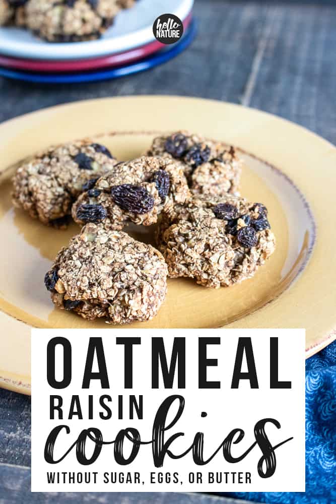 Cookies may not normally be considered “diet friendly” but these homemade healthy gluten-free oatmeal raisin cookies are! Not only is this recipe easy to make, but they contain no eggs, no sugar, and no butter. The whole family will love these healthy oatmeal raisin cookies without butter! #GlutenFree #OatmealCookies #OatmealRaisin #OatmealRaisinCookies #GlutenFreeCookies #GlutenFreeDessert 