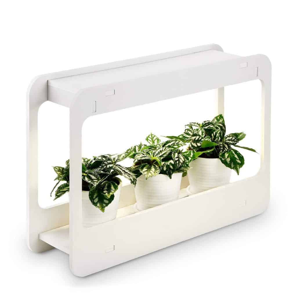 Beginner Indoor Herb Garden Tips