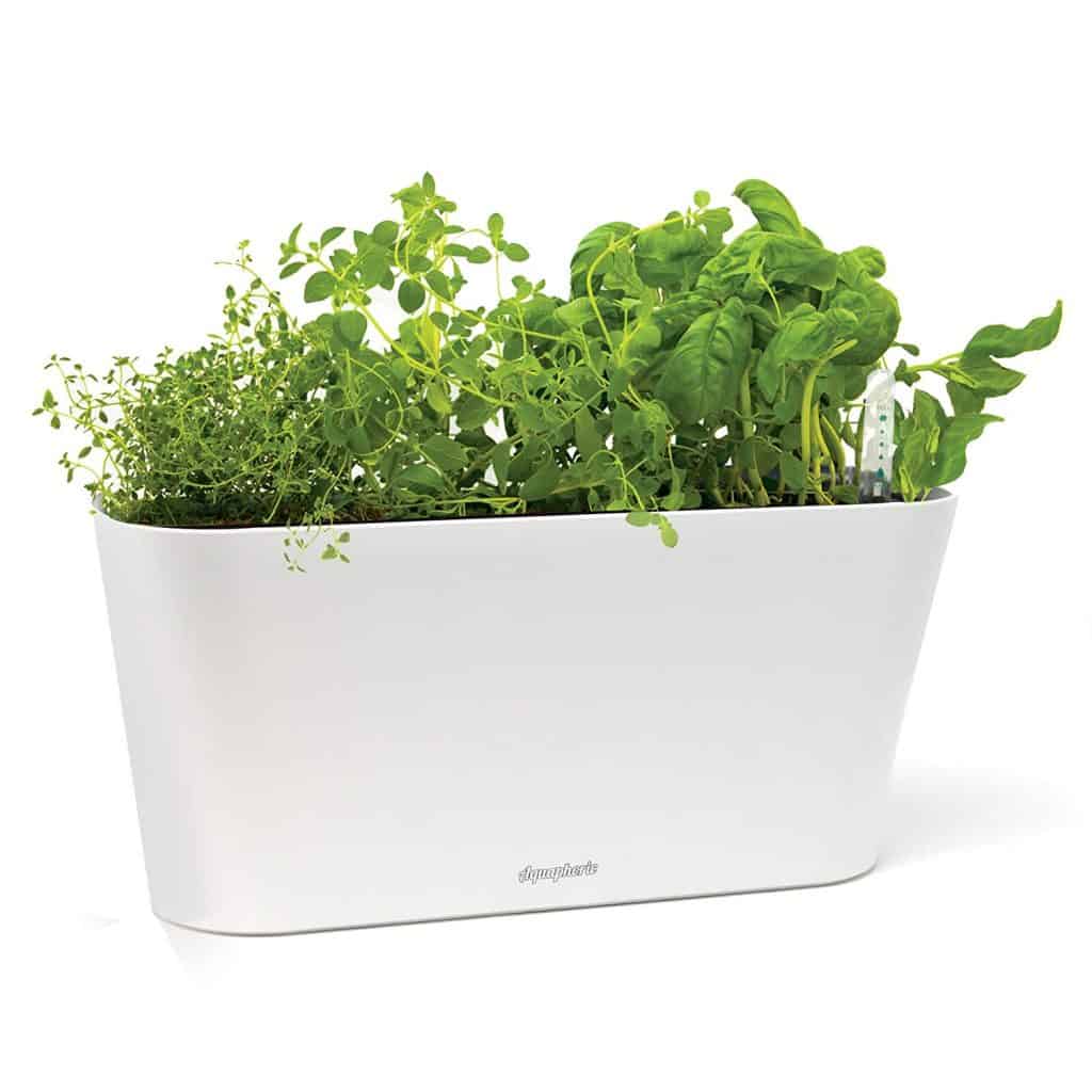 How to Grow an Indoor Herb Garden (Plus ideas for indoor herb garden containers)