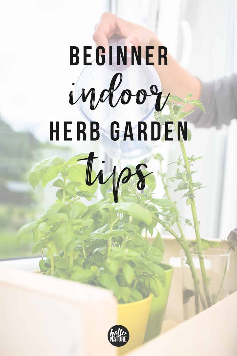 Simple Kitchen Herb Garden Tips for Beginners