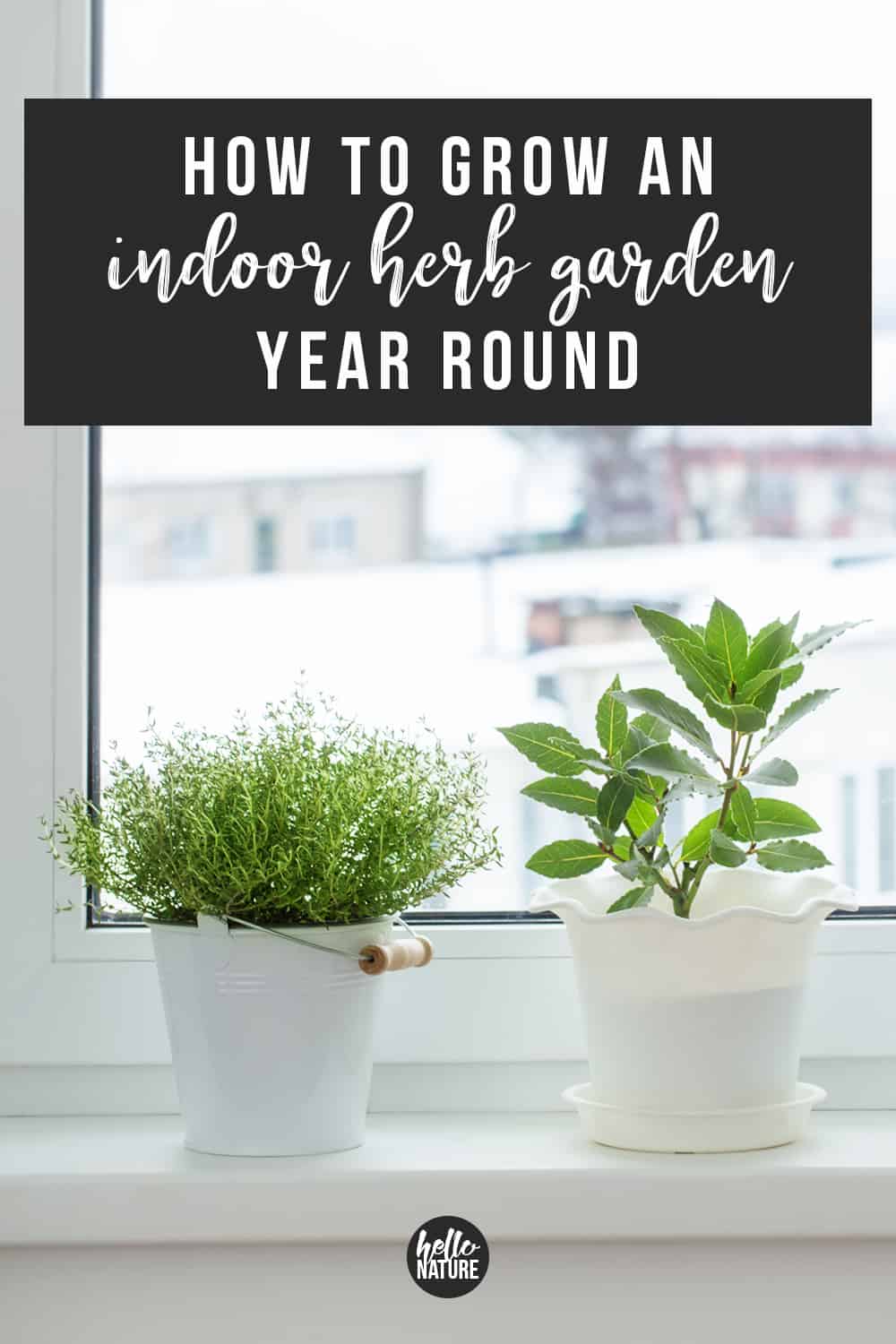 Trying to figure out how to grow herbs year round? You need these beginner indoor herb garden tips! You'll be able to grow herbs inside your home with these 9 easy tips. #HerbGarden #Herbs #Homesteading #IndoorHerbGarden #BeginnerGardener