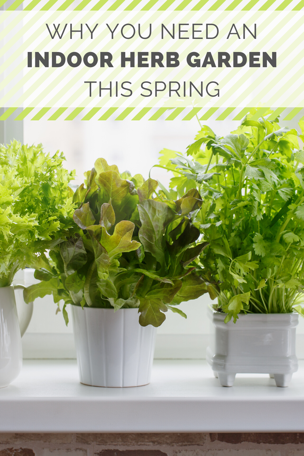 
Indoor herb garden tips