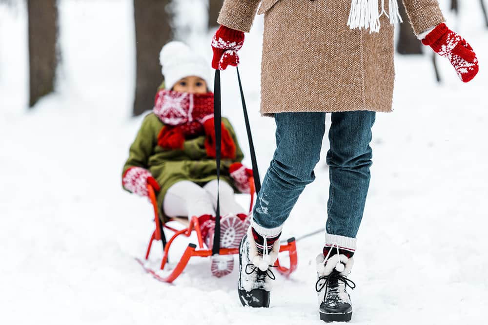 How to Go Snowshoeing With a Sled - Bird's Eye Meeple