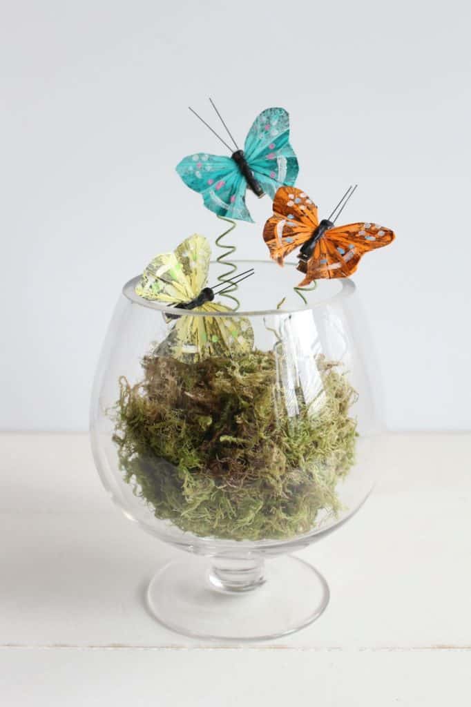 Terrarium ideas with animals. Butterfly themed terrarium. Glass bowl with moss and faux butterflies.