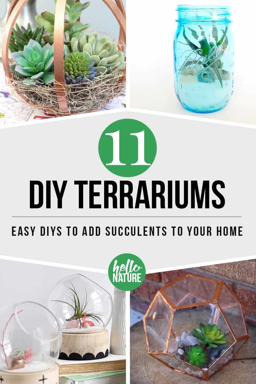 Wondering how to make homemade terrariums? You'll love these DIY succulent and DIY cactus terrarium ideas. Quickly learn how to make closed DIY terrariums with plants and match it to your decor. And because DIY terrarium costs are so low, you'll be able to make quite a few of these fun DIY terrariums! #DIY #DIYTerrarium #Terrarium #IndoorGarden