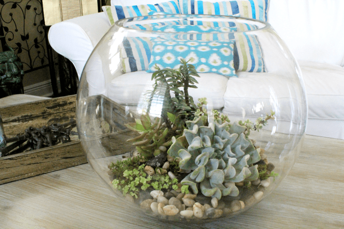 Open jar DIY terrarium ideas. Open fish bowl with pebbles and succulents.