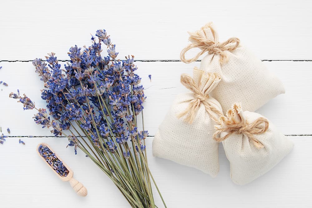 lavender herbal tea bath bags