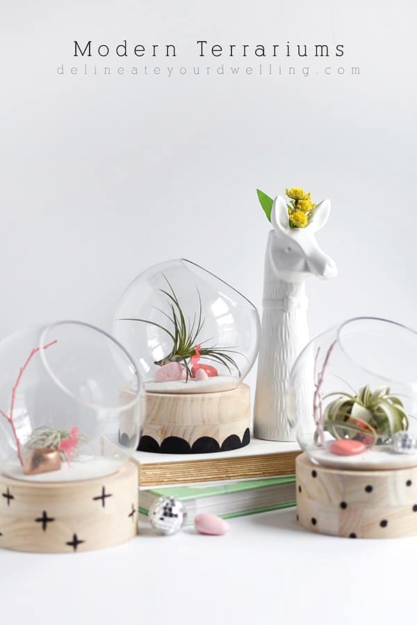 Modern themed DIY terrariums ideas. Three offset glass bowl terrariums with air plants.
