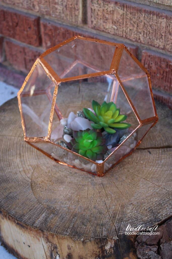 Geometric DIY terrarium ideas. DIY geometric dome with succulents.