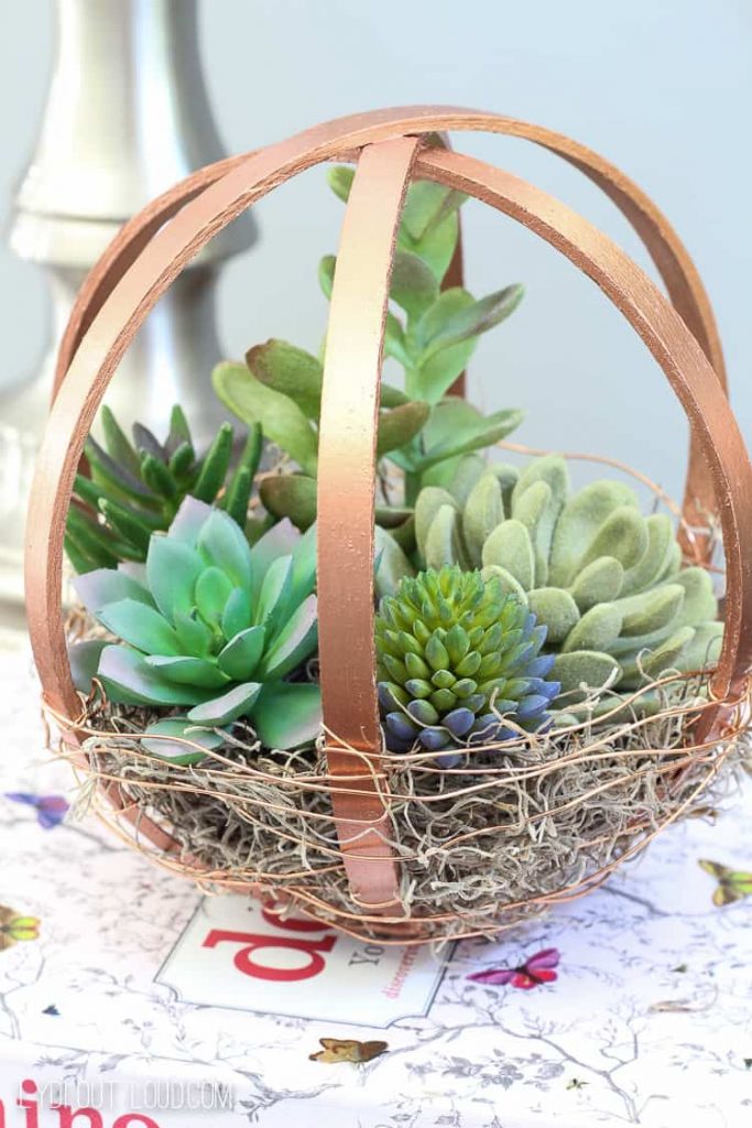 Fun DIY terrarium ideas. Embroidery hoop DIY terrarium with succulents.