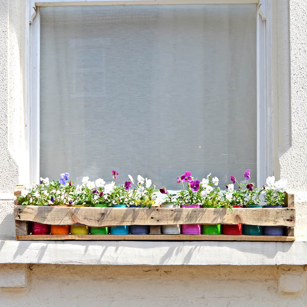 Colorful tin can planters in a recycled pallet box.