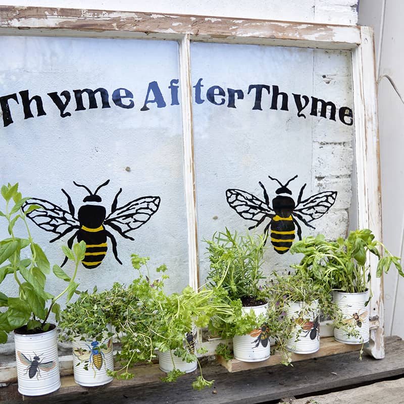 Tin can planters in front of upcycled painted window.