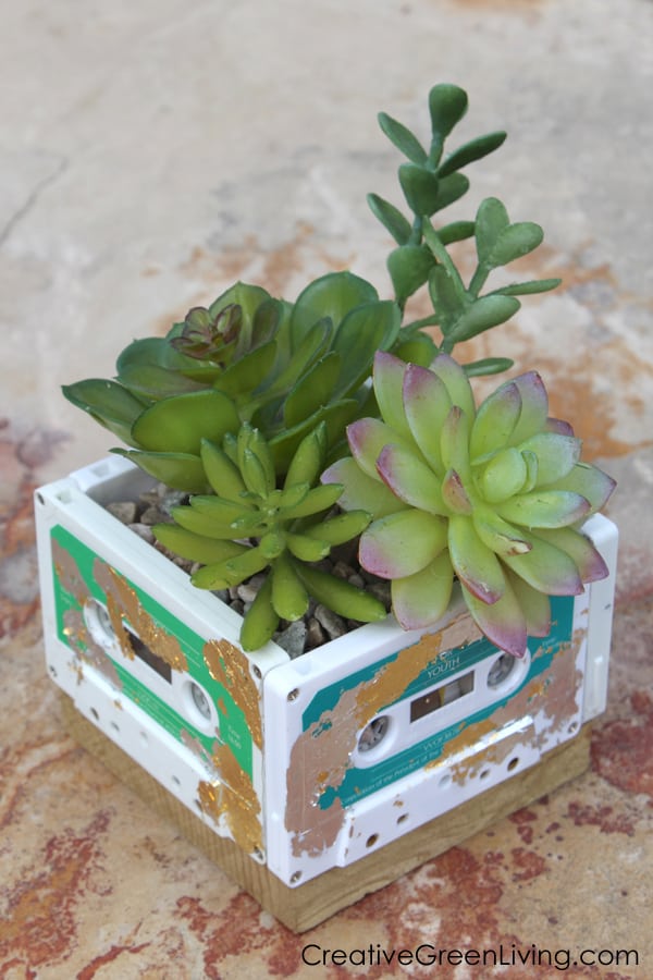 Succulent planter made with old cassette tapes.