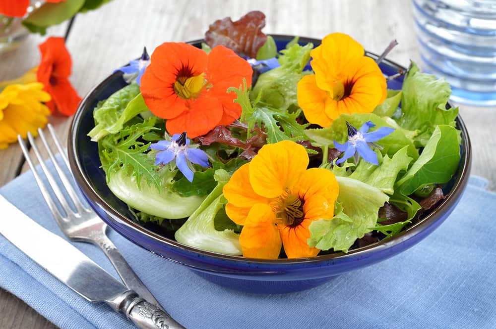 edible landscaping ideas with edible flowers