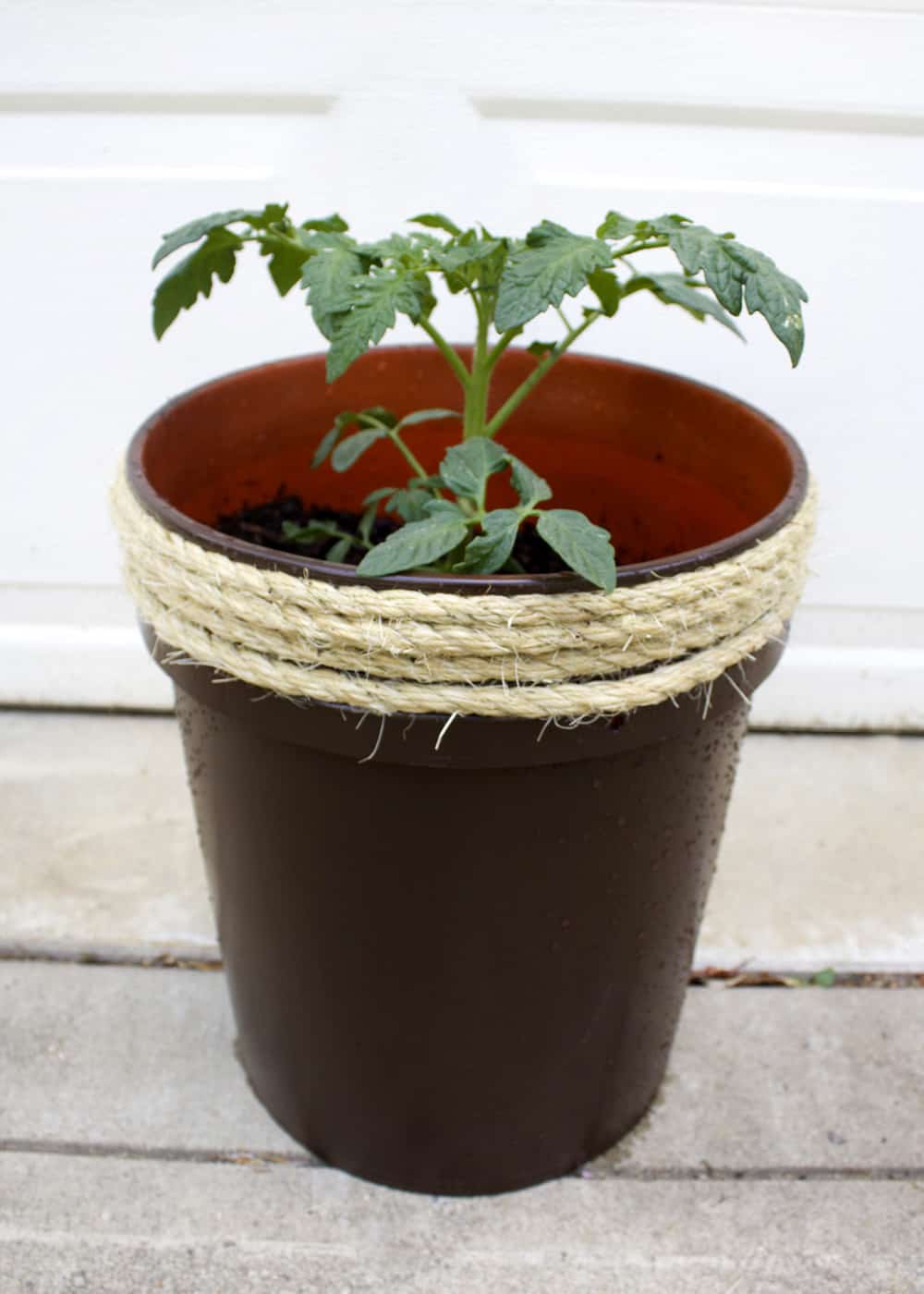 Sisal rope wrapped 5 gallon bucket planter.