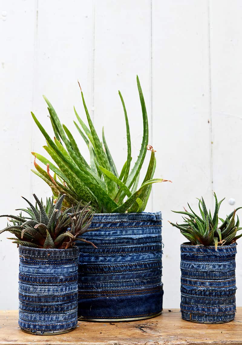 Old denim wrapped tin can planters.