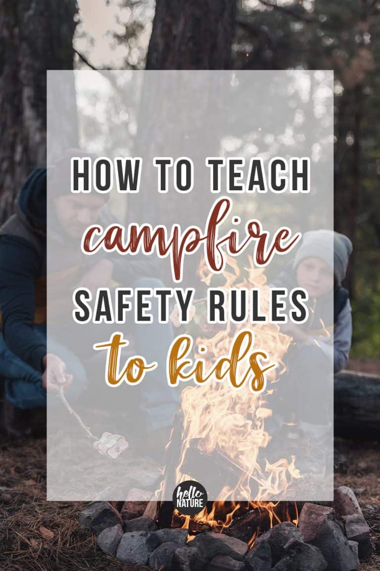 Easy Campfire Safety Rules For Kids And Parents | Safety Rules For Kids