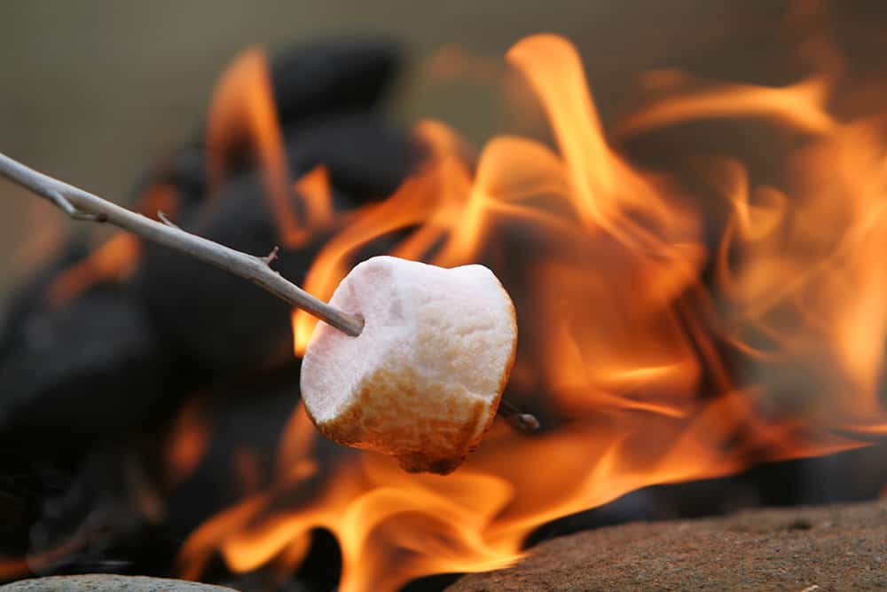 roasting marshmallow